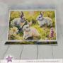 Preview: LaCreativ - Designpapier "Bunte Osterwiese" Paper Pack 6x6" - 24 Bogen