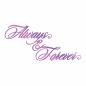 Preview: Couture Creations Hotfoil Stamp Die  - Always & Forever