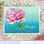 Preview: My Favorite Things "Peony Perfection Cling" Cling Stamp