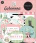 Preview: Carta Bella "Flower Garden" Mega Bundle - Komplettpaket 