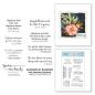 Preview: Spellbinders Stempelset "Spring Quotes"