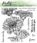 Preview: Picket Fence Studios Wild Daisies Clear Stamps 