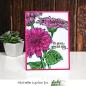 Preview: Picket Fence Studios Wild Daisies Clear Stamps 