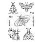 Preview: Woodware Moths  Clear Stamps - Stempel 