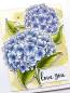 Preview: Janes Doodles "Hydrangea" Clear Stamp - Stempelset