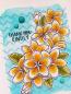 Preview: Janes Doodles " Plumeria" Clear Stamp - Stempelset