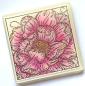 Preview: IndigoBlu "Colour Me Camellia" A6 Rubber Stamp