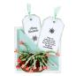 Preview: Spellbinders Stempelset "Holiday Quotes"