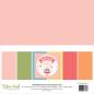 Preview: Echo Park "Birthday Girl" 12x12" Coordinating Solids Paper - Cardstock