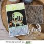 Preview: Picket Fence Studios Leaves in a Stream  Clear Stamps 