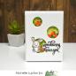 Preview: Picket Fence Studios Somebunny Loves You Clear Stamps