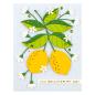 Preview: Spellbinders Die "Lemon Zest Etched" Stanzschablone