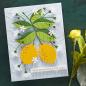 Preview: Spellbinders Die "Lemon Zest Etched" Stanzschablone