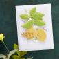 Preview: Spellbinders Die "Lemon Zest Etched" Stanzschablone