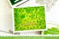 Preview: Lawn Fawn Stencil - Schablone - "Clover Background Stencils (2pcs)"