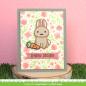 Preview: Lawn Fawn Craft Dies - Springtime Bunny