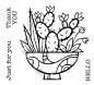 Preview: Woodware Succulent Display  Clear Stamps - Stempel 