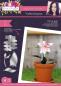 Preview: Crafters Companion -Arts 'n Flowers Garden Florals Metal Dies Lily - Stanze