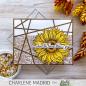 Preview: Picket Fence Studios - Clear Stamp - "Forever Sunflower Seeds " Stempel 