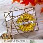 Preview: Picket Fence Studios - Clear Stamp - "Forever Sunflower Seeds " Stempel 