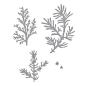 Preview: Spellbinders Dies "Winter Evergreen Foliage and Ladybugs Etched" Stanzschablonen