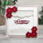 Preview: Creative Expressions - Craft Dies - Festive Poinsettia Scalloped Border - Stanze