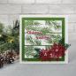 Preview: Creative Expressions - Craft Dies - Festive Poinsettia Trio - Stanze