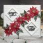 Preview: Creative Expressions - Craft Dies - Festive Poinsettia Trio - Stanze