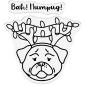 Preview: Crafters Companion - Bah! Humpug - Clear Stamps