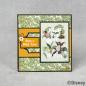 Preview: Creative Expressions - Card Making Kit 8x8 Inch - The Jungle Book  