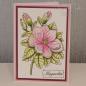 Preview: Woodware - Clear Stamps - Magnolia  - Stempel 