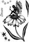 Preview: Creative Expressions - Clear Stamp A6 -  Daisy Dreams  - Stempel