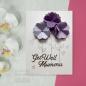 Preview: Creative Expressions - Craft Dies - Sentiments Collection Essentials 2  - Stanze