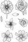 Preview: Creative Expressions - Clear Stamp A6 -  Beautiful Bouquet  - Stempel