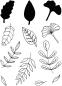 Preview: Creative Expressions - Clear Stamp A6 -  Foliage Collection  - Stempel