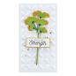 Preview: Spellbinders - Stempelset - "Sealed Sentiments" - Silikonstempel