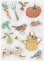 Preview: Craft Consortium - Clear Stamp -Little Robin Redbreast  - Stempel