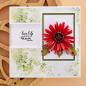 Preview: Spellbinders - Die Cuts - "Gerber Daisy and Ladybugs Etched Dies" - Stanzteile