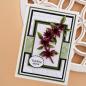 Preview: Spellbinders - Dies - "Carolina Allspice" - Stanzschablonen