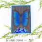 Preview: Picket Fence Studios - Stanzschablone "Soar Butterfly" Dies 4,11 x 3,98  Inch