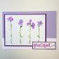 Preview: The Crafters Workshop - Layered Schablone 5,5x4,25 Inch "Word Flowers" Stencil