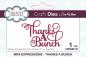 Preview: Creative Expressions - Stanzschablone "Thanks A Bunch" Craft Dies Mini