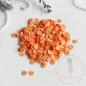 Preview: Dress My Craft - Streuteile "Orange #2" Shaker Slices 8g