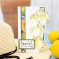 Preview: Crafters Companion - Stanzschablone "Lemon Vine" Dies