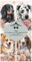 Preview: Paper Favourites - Designpapier "Dogs " Slim Paper Pack 3x8 Inch - 24 Bogen