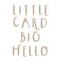 Preview: Spellbinders - Heißfolien-Platte "Little Card Big Hello" Hot Foil Plate