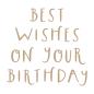 Preview: Spellbinders - Heißfolien-Platte "Best Wishes on Your Birthday" Hot Foil Plate