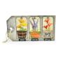 Preview: Sizzix - Stanzschablone "Wildflower Stems #2" Thinlits Craft Dies by Tim Holtz