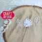 Preview: Craft & You Design - Stanzschablone "Leaves Set WM2" Dies