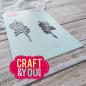 Preview: Craft & You Design - Stanzschablone "Polypody Set 2" Dies